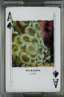 海景世界企業股份有限公司發行撲克牌藏品圖，第2張