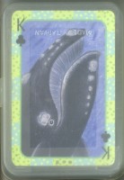 國立海洋生物博物館魚類撲克牌藏品圖，第2張