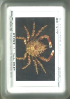 國立海洋生物博物館螃蟹撲克牌藏品圖，第2張