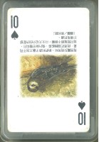 泛亞文化小藍鯨生態繪本撲克牌1藏品圖，第2張