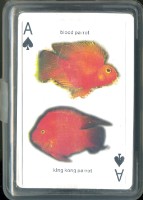 中華民國水族類商業同業公會發行撲克牌藏品圖，第2張