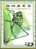蟈蟈鑒賞圖撲克牌藏品圖，第1張