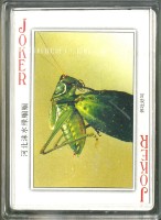 蟈蟈鑒賞圖撲克牌藏品圖，第4張