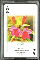 花語情主題撲克牌藏品圖，第2張