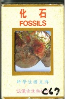 化石撲克牌藏品圖，第1張