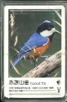 南路鷹工作室野鳥紀事3撲克牌藏品圖，第2張