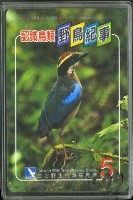 南路鷹工作室野鳥紀事5撲克牌藏品圖，第1張