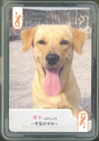 犬髖關節狗友會撲克牌藏品圖，第2張