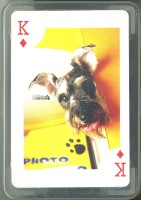 cardon字樣狗撲克牌藏品圖，第2張