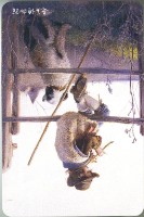 奇美博物館牧童撲克牌藏品圖，第3張