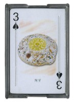 樂器撲克牌藏品圖，第2張