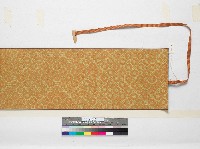 「臺中双冬疎開学校ヨリ內地帰還マデ」捲軸複製品藏品圖，第3張