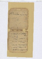 土庫大坪王家家族族譜帳冊等41頁藏品圖，第3張