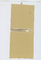 土庫大坪王家家族族譜帳冊等41頁藏品圖，第34張