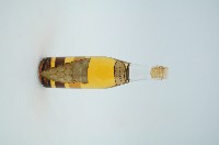 PURE GRAPE WINE樣品透明玻璃小型酒瓶藏品圖，第1張