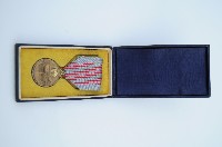 紀元二千六百年祝典記念章藏品圖，第2張