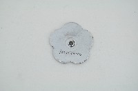 彰縣陽明國中39週年校慶胸章藏品圖，第2張