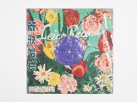 麗歌黑膠唱片PPL-1009立體双聲南國之夜輕音樂藏品圖，第1張