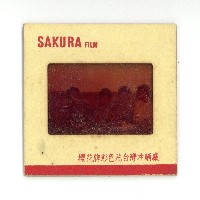 幻燈片之婚禮系列藏品圖，第3張