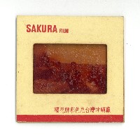 幻燈片之婚禮系列藏品圖，第5張