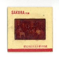 幻燈片之婚禮系列藏品圖，第13張