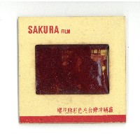 幻燈片之婚禮系列藏品圖，第15張