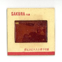 幻燈片之婚禮系列藏品圖，第18張