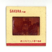 幻燈片之婚禮系列藏品圖，第19張