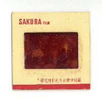 幻燈片之婚禮系列藏品圖，第20張