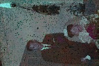 幻燈片之婚禮系列藏品圖，第25張