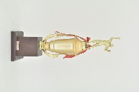 第二屆球王杯殿軍獎座藏品圖，第2張