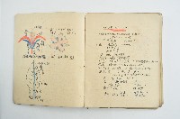 王博文之自然科學筆記藏品圖，第5張