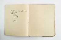 王博文之自然科學筆記藏品圖，第6張