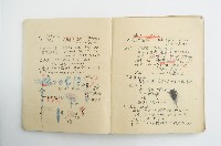 王博文之自然科學筆記藏品圖，第8張