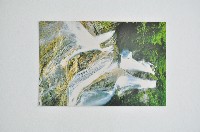 東京一周明信片組藏品圖，第8張