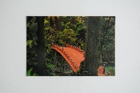 東京一周明信片組藏品圖，第16張