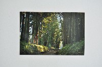 東京一周明信片組藏品圖，第19張