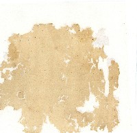 同治年間分類帳簿藏品圖，第3張