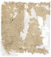 光緒二年陳協和號出入數簿藏品圖，第115張