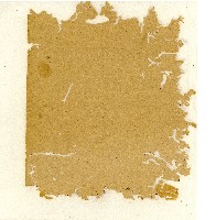 光緒五年陳協和號出入數簿藏品圖，第3張