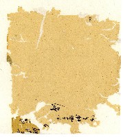 光緒五年陳協和號出入數簿藏品圖，第114張