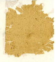 光緒五年陳協和號出入數簿藏品圖，第115張