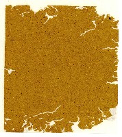 光緒六年陳協和號出入數簿藏品圖，第50張