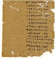 光緒八年陳協和號出入數簿藏品圖，第31張