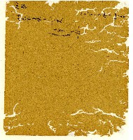 光緒八年陳協和號出入數簿藏品圖，第41張