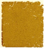 光緒八年陳協和號出入數簿藏品圖，第60張