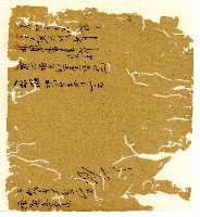 光緒十年陳協和號出入數簿藏品圖，第119張