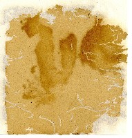 光緒十年陳協和號出入數簿藏品圖，第121張