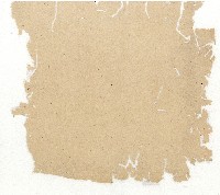 光緒十年協源號合夥簿藏品圖，第3張