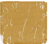 光緒十一年陳協和號出入數簿藏品圖，第64張